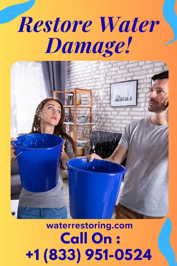 water restoration Vigilant Water Repair Specialists Baden