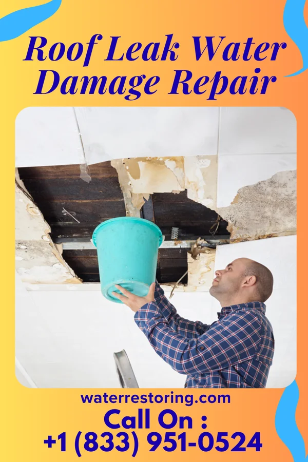 Roof Leak Water Damage Repair in Baden, PA