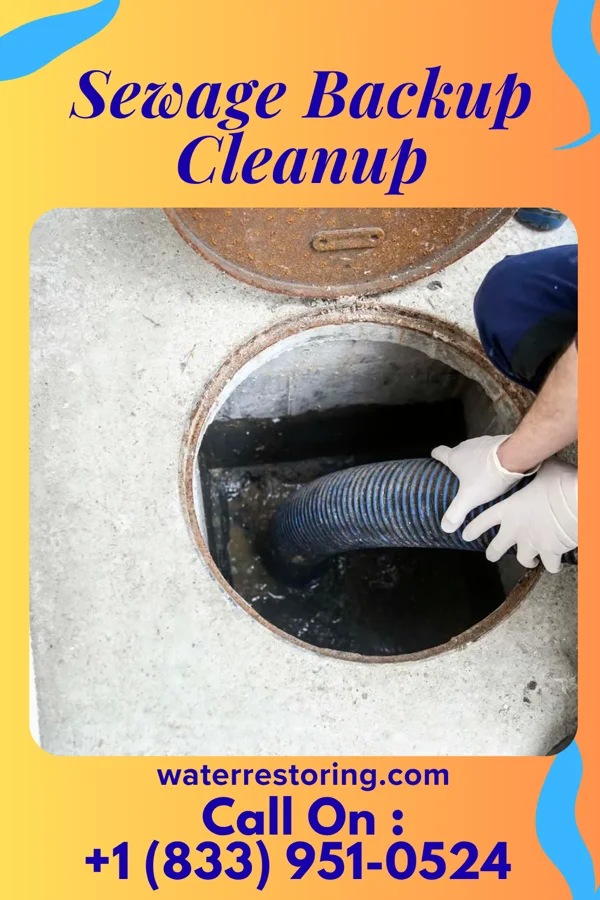 Sewage Backup Cleanup in Baden, PA